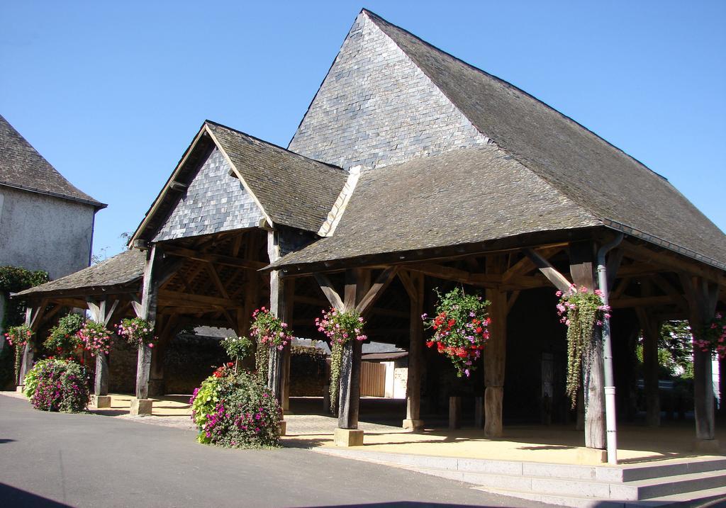 ホテルLe Relais De La Caleche Saint-Denis-dʼAnjou エクステリア 写真