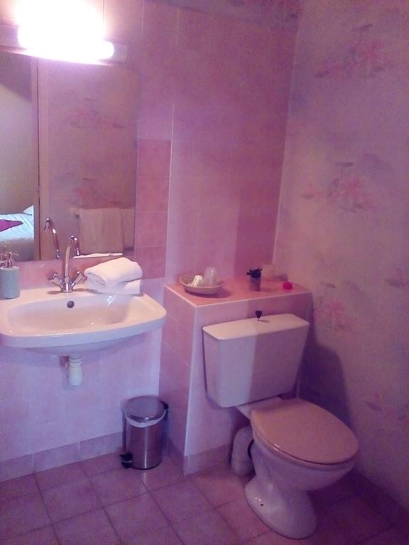 ホテルLe Relais De La Caleche Saint-Denis-dʼAnjou エクステリア 写真